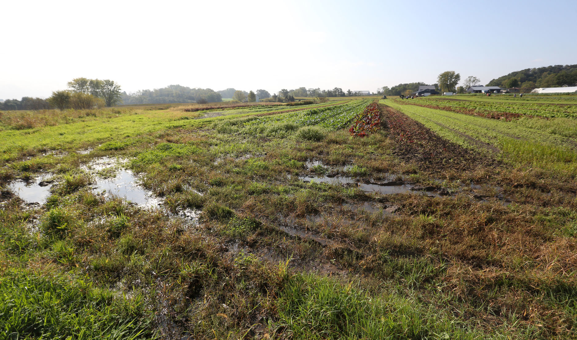 CROSSROADS COMMUNITY FARM